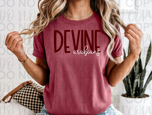 Devine Arabians Spirit Tee