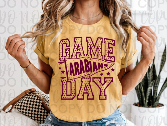 Game Day Arabians Spirit Tee